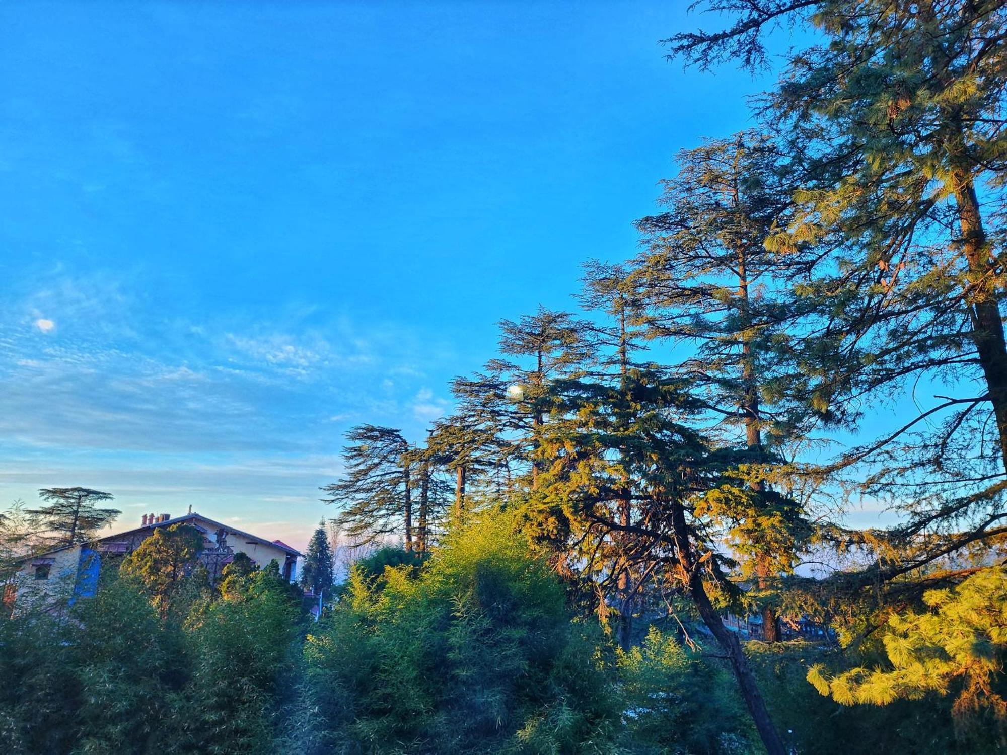 Hotel Pineview Shimla Eksteriør billede