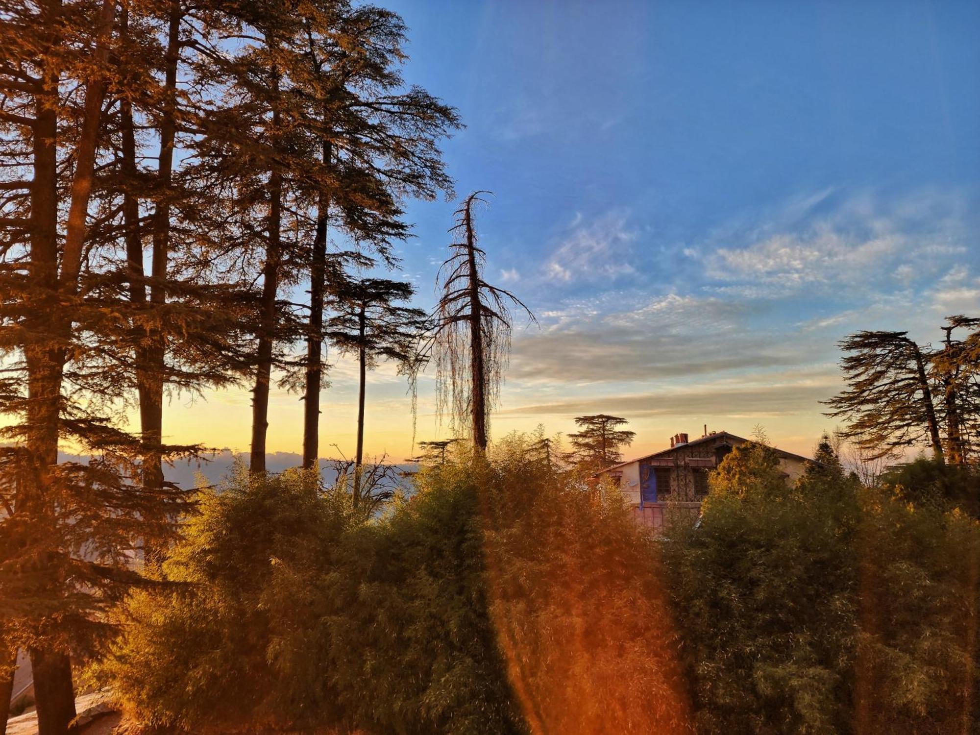 Hotel Pineview Shimla Eksteriør billede