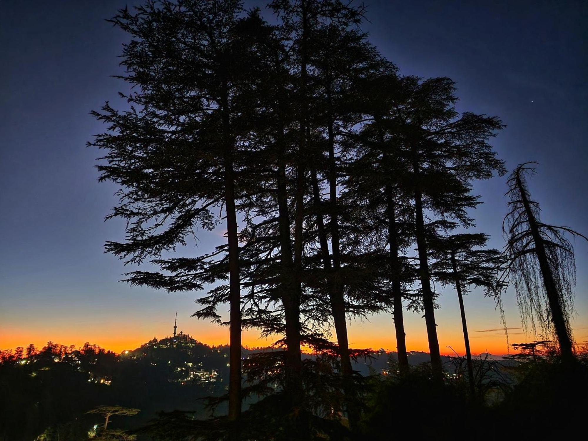 Hotel Pineview Shimla Eksteriør billede