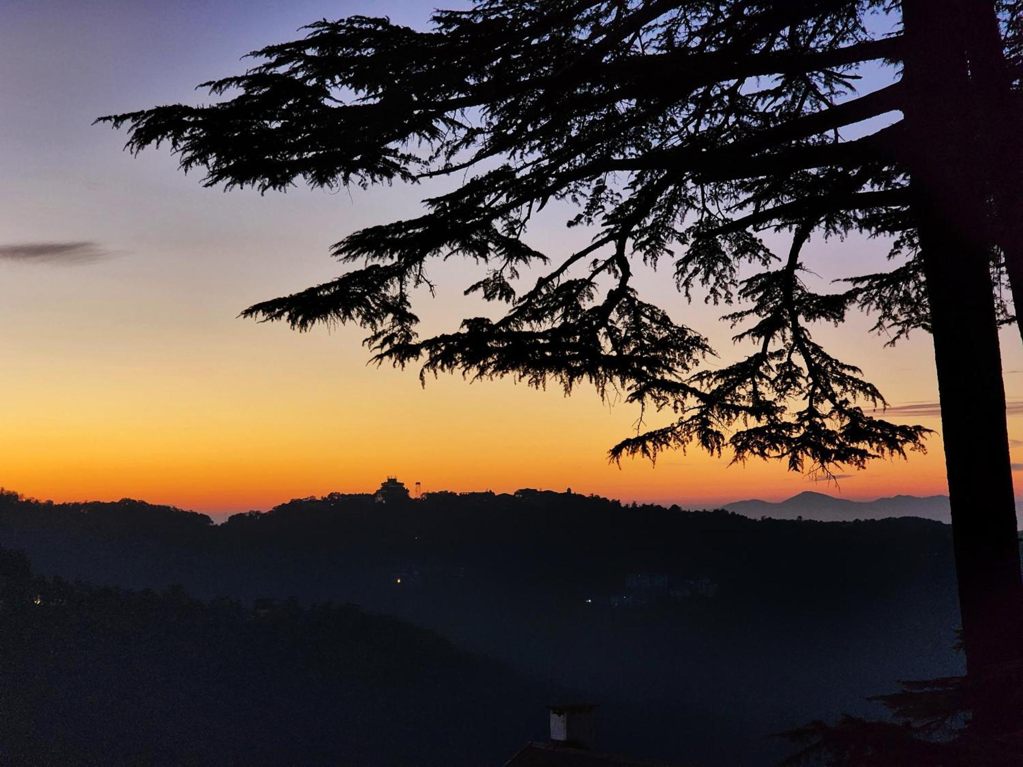 Hotel Pineview Shimla Eksteriør billede